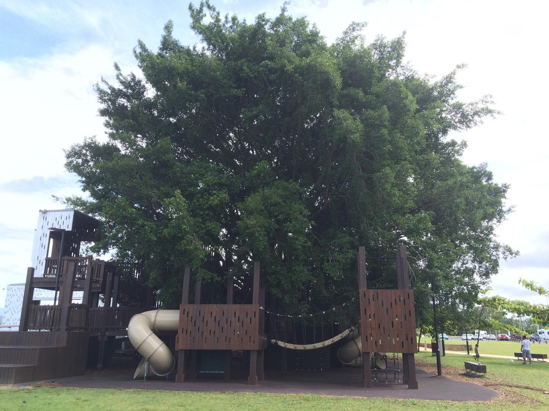 Figtree Playground-凯恩斯必去景点