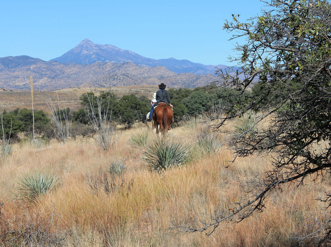 Circle Z Ranch