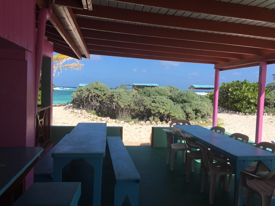 Flash of Beauty-Anegada必去景点