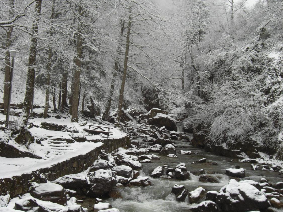 Altindere Vadisi National Park景点图片