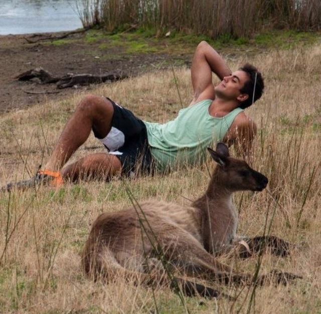 Kangaroo Island Wildlife Park景点图片