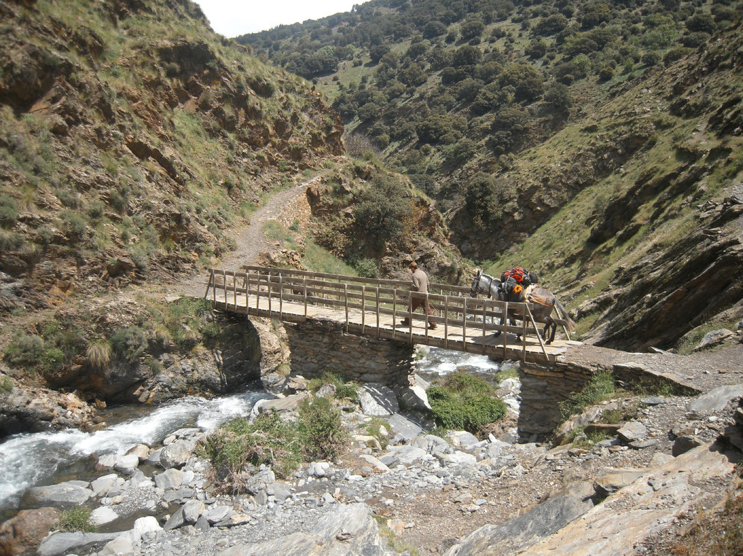 El Arriero Sierra Nevada景点图片