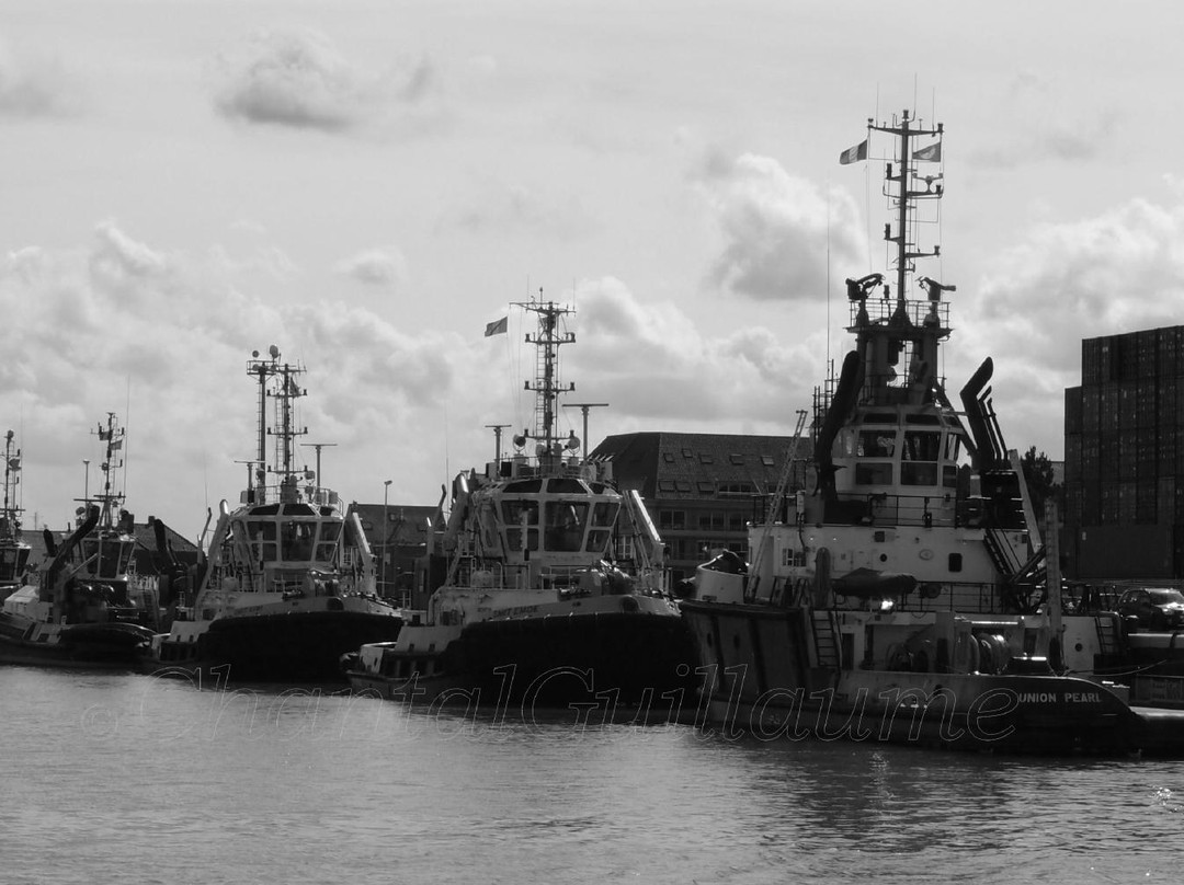 Harbor Tour Zeebruges-布鲁日必去景点