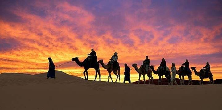 Badrane Tours-非斯必去景点