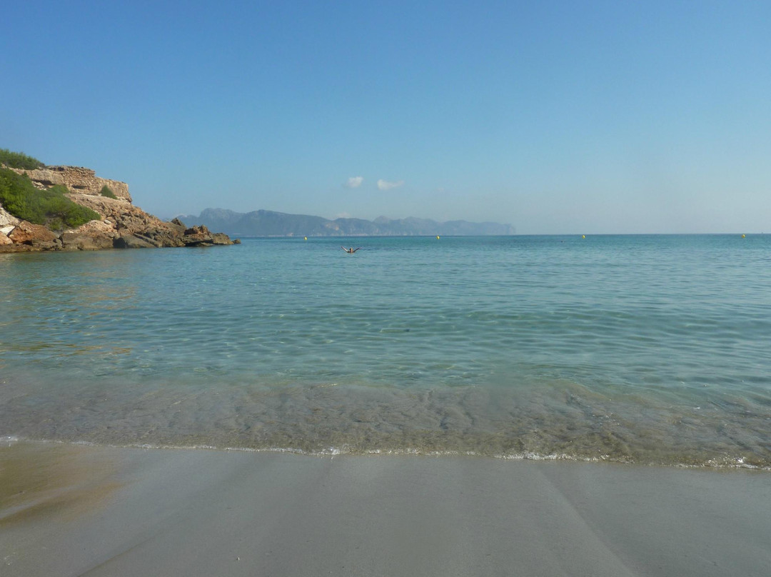 Playa de Sant Joan景点图片