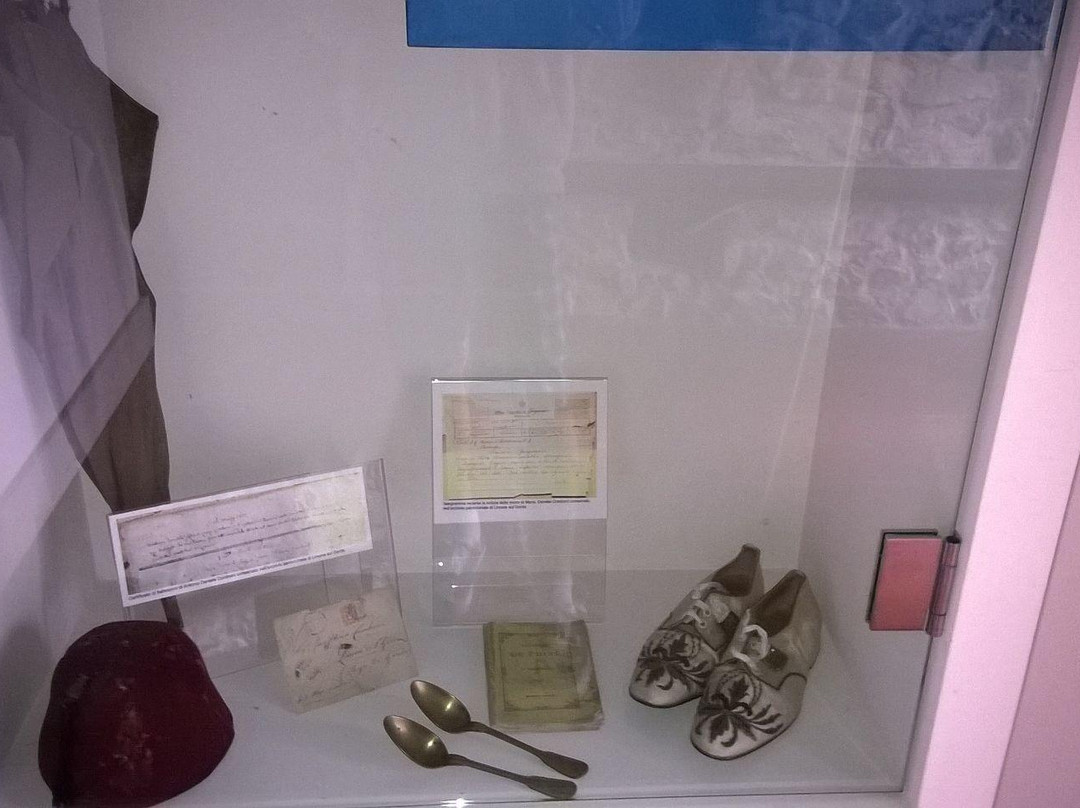 Museo Tesol景点图片