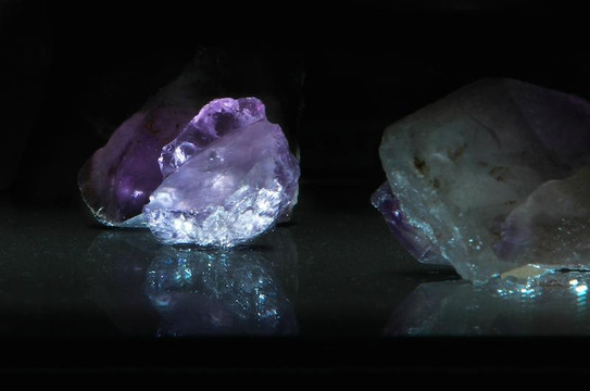 Araraquara旅游景点-Museu de Arqueologia e Paleontologia (MAPA)