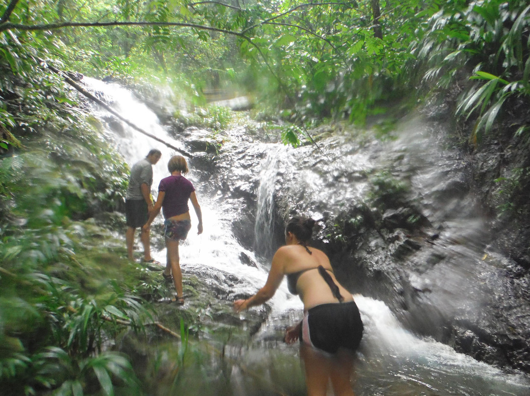 Portobelo Tours景点图片