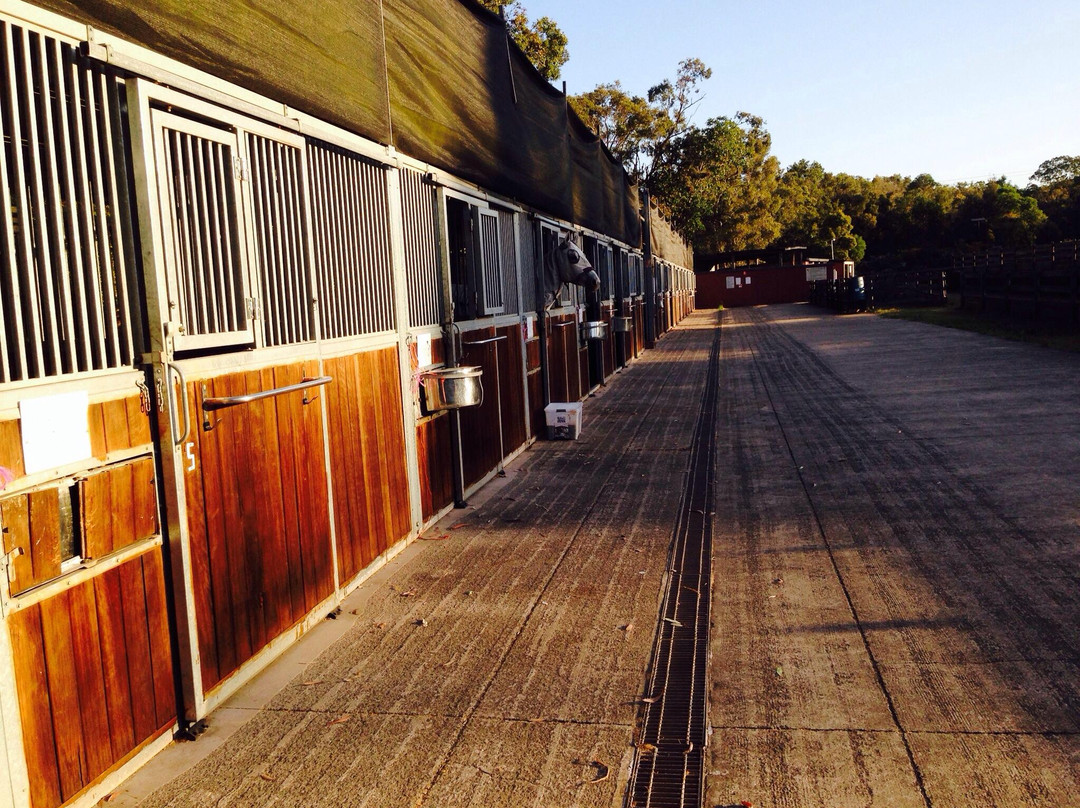 Noosa North Shore Resort-努沙必去景点