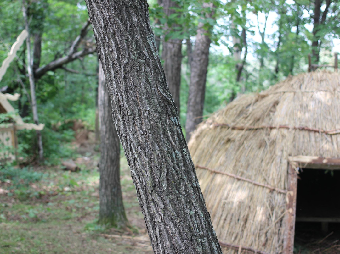 Petroglify-哈巴罗夫斯克必去景点