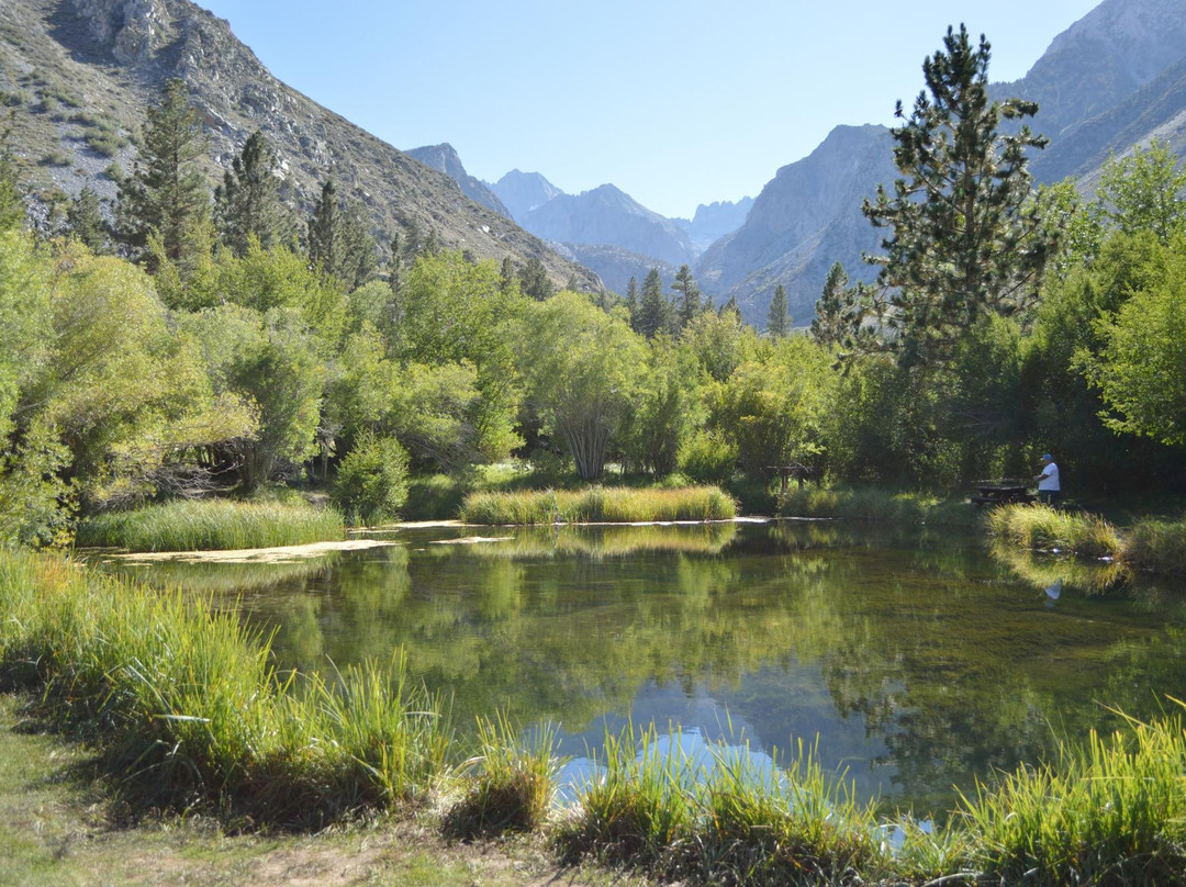 Inyo National Forest-加利福尼亚必去景点