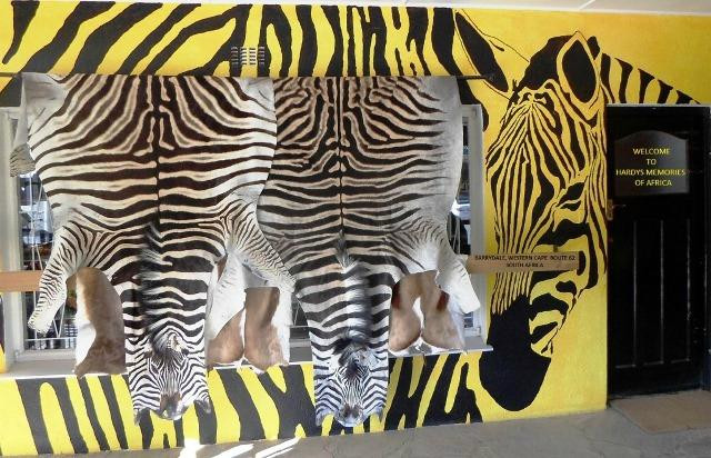 Hardys Memories of Africa African Art and Curios景点图片