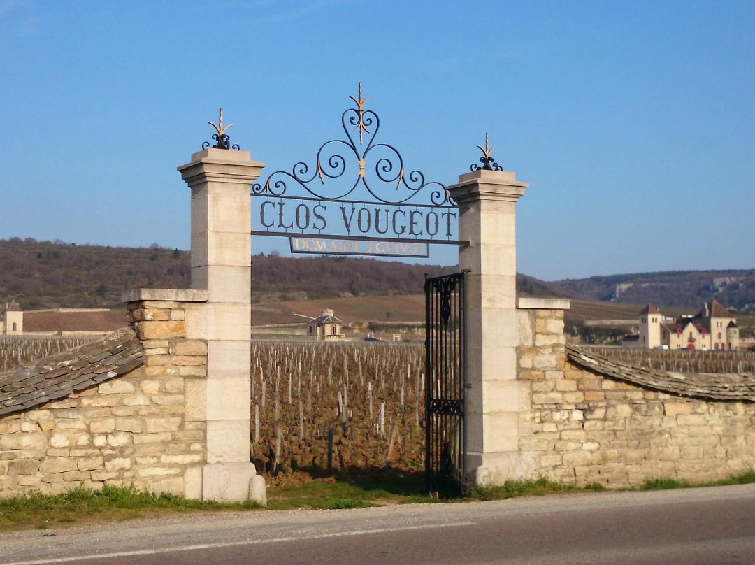 Bourgogne A La Carte Burgund Experiment  Tours