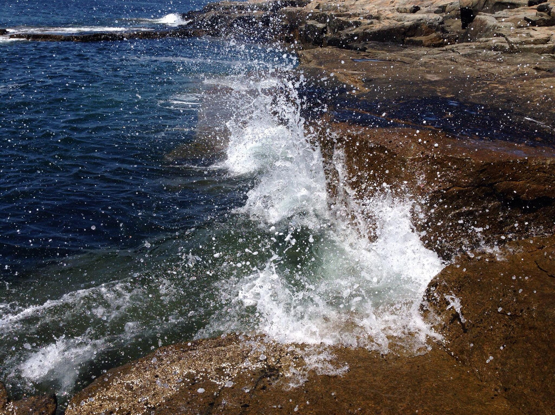Schoodic Mountain景点图片