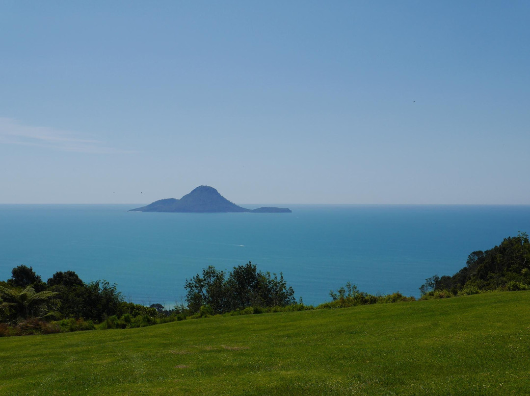 Kohi Point Lookout景点图片