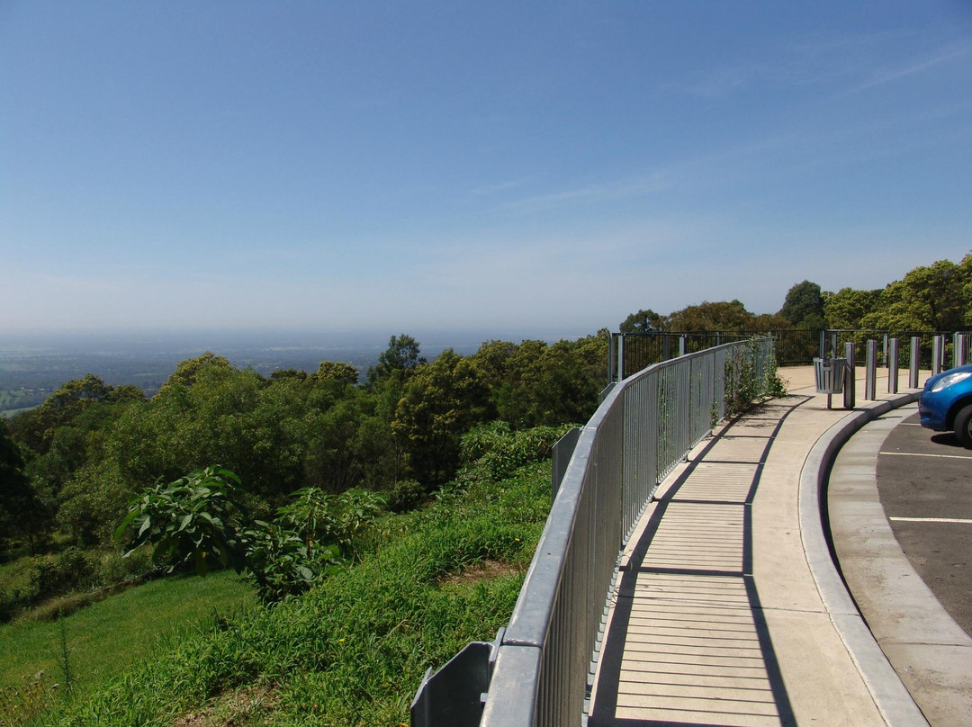 Bellbird Hill Lookout景点图片