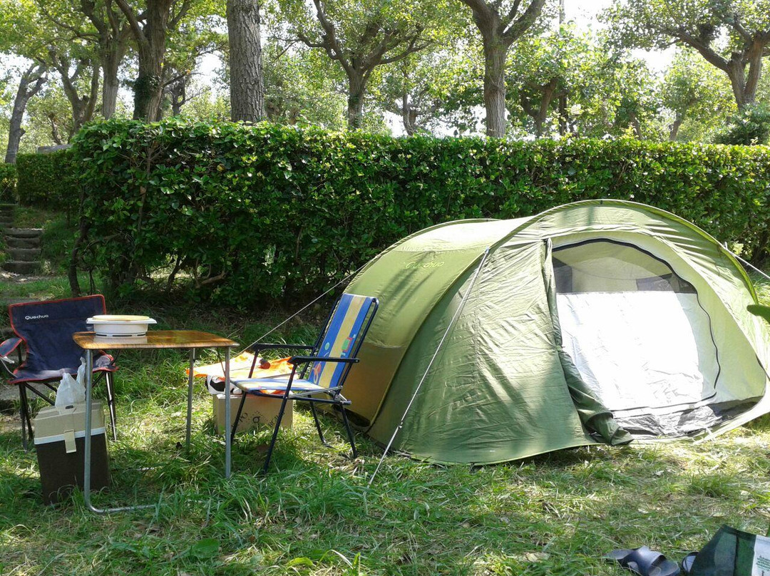Camping Alturan