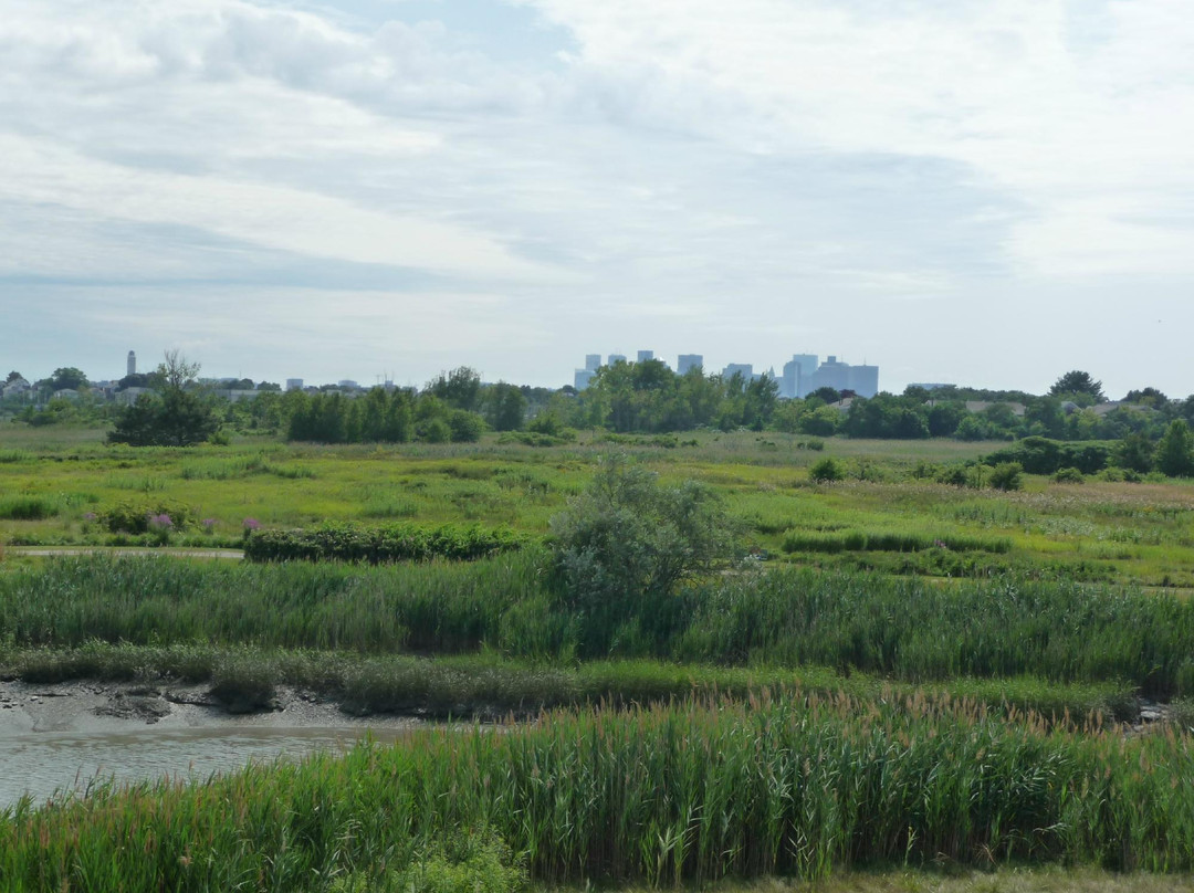 Belle Isle Marsh Reservation-波士顿必去景点