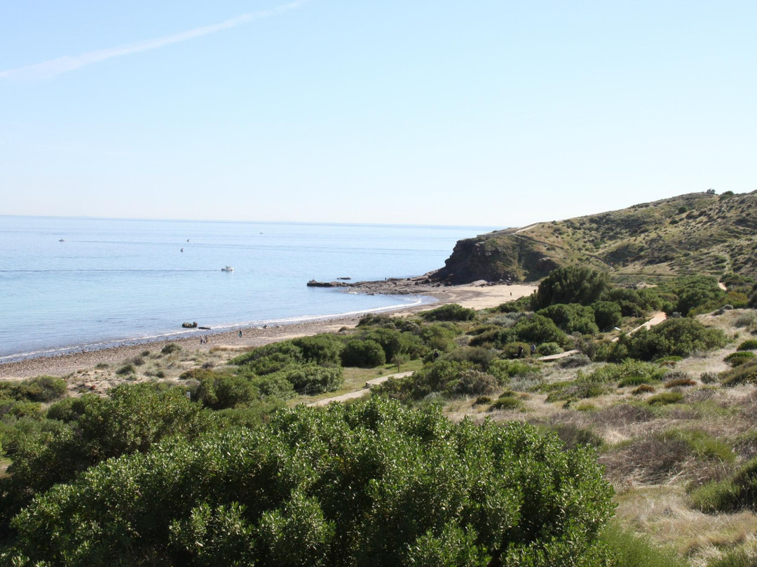Hallett Cove Conservation Park景点图片
