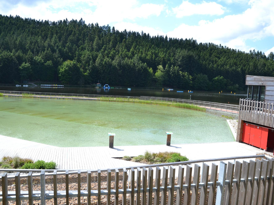 Lac des Sapins-Cublize必去景点