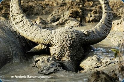 Safari Bali-克罗柏坎必去景点