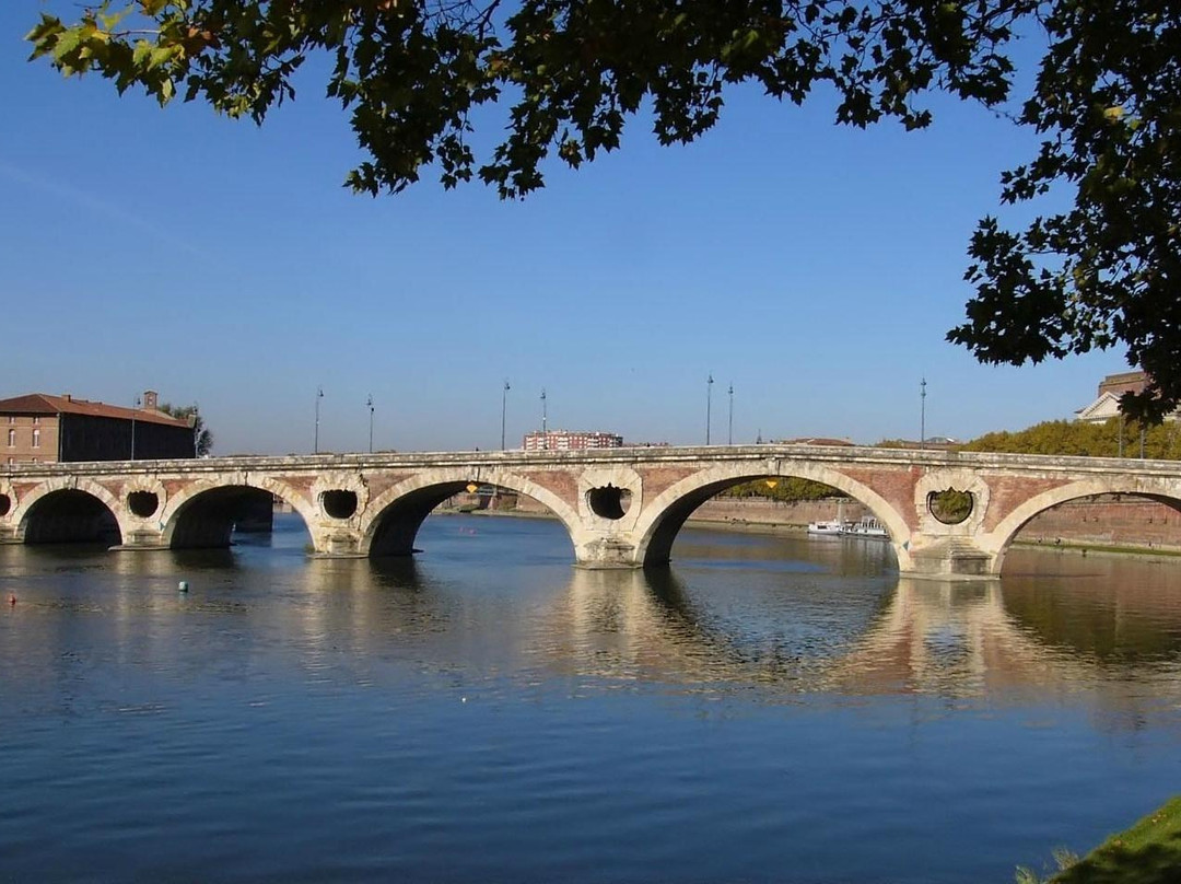 Pont Neuf Toulouse-图卢兹必去景点