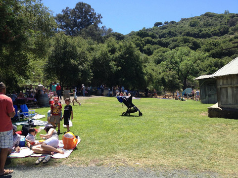 Picchetti Winery-库柏蒂诺必去景点