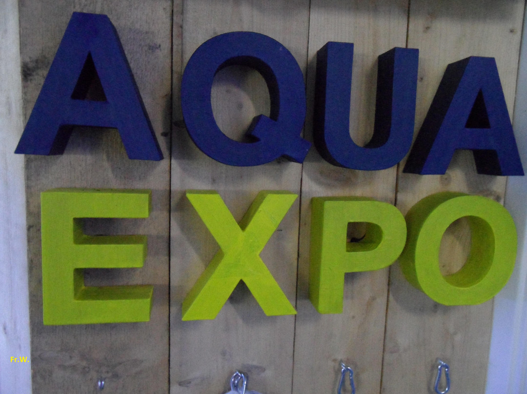 Aqua Expo景点图片