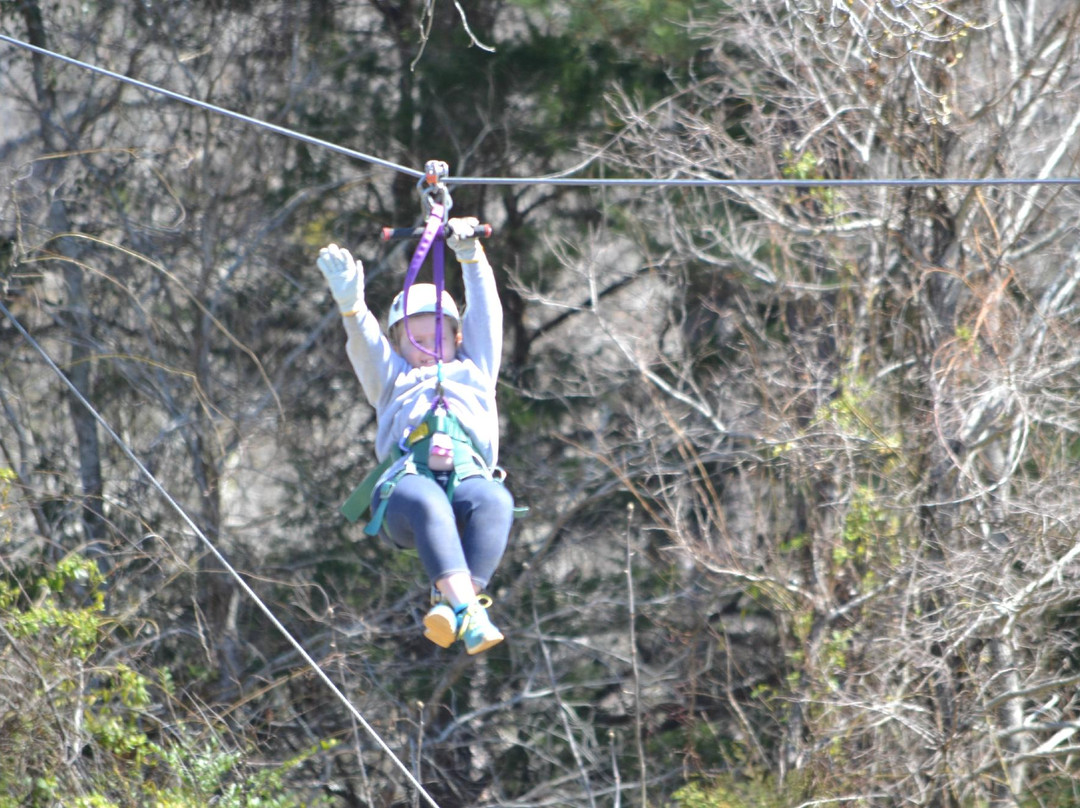 Adrenaline Rush Zip Line Tours-Jacksonville必去景点