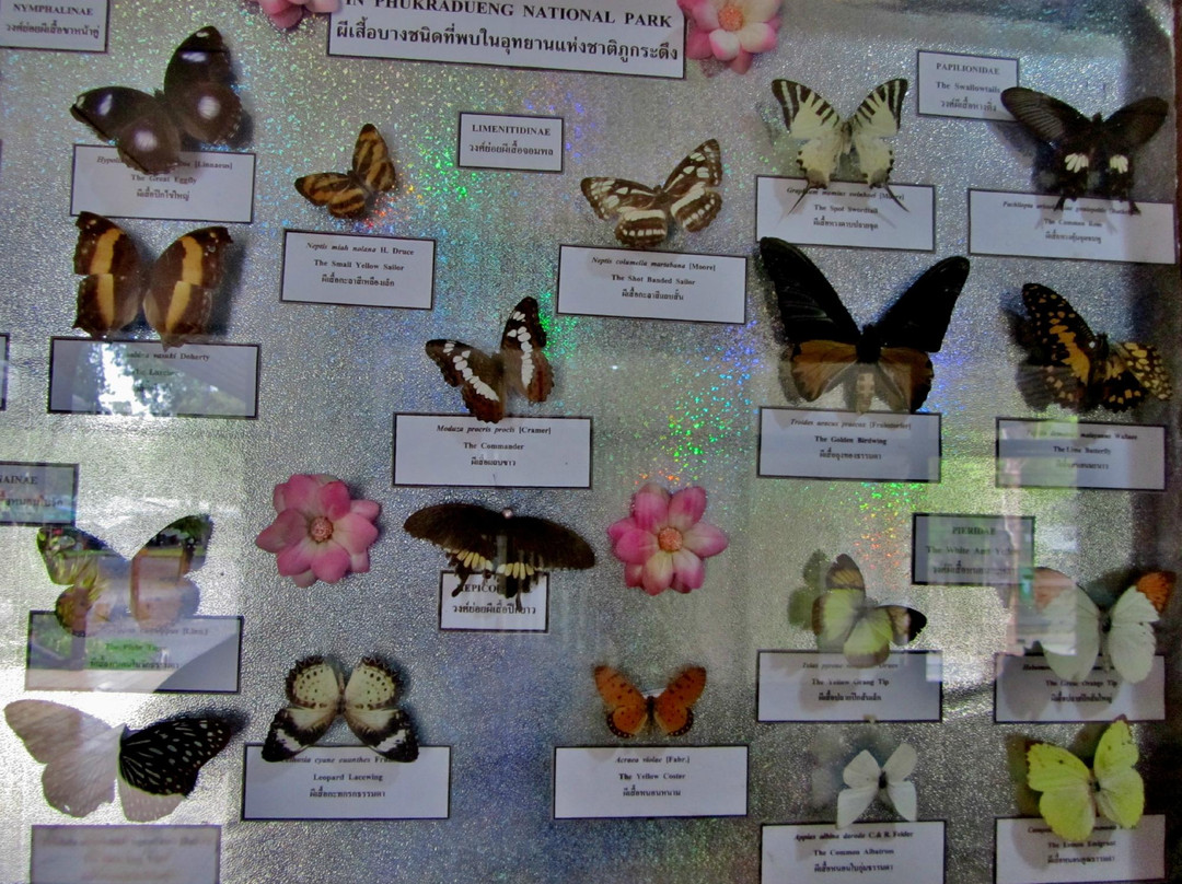 Phu Pha Maan National Park景点图片