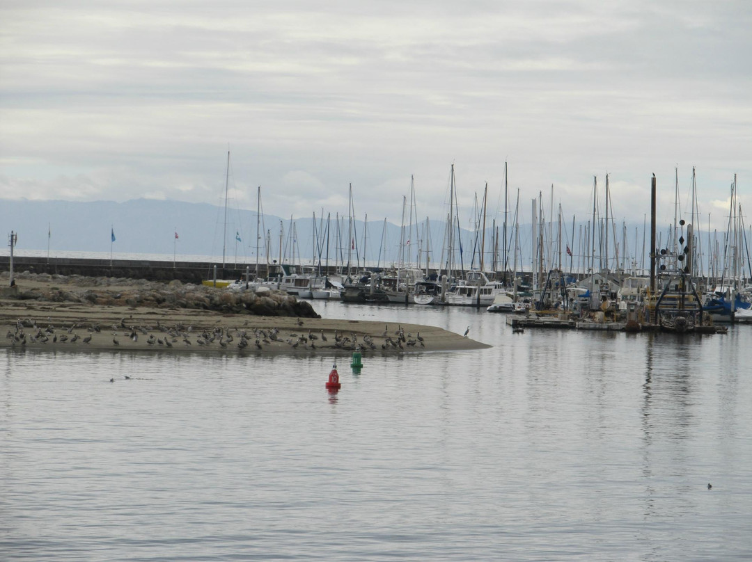 斯特恩码头-圣巴巴拉必去景点