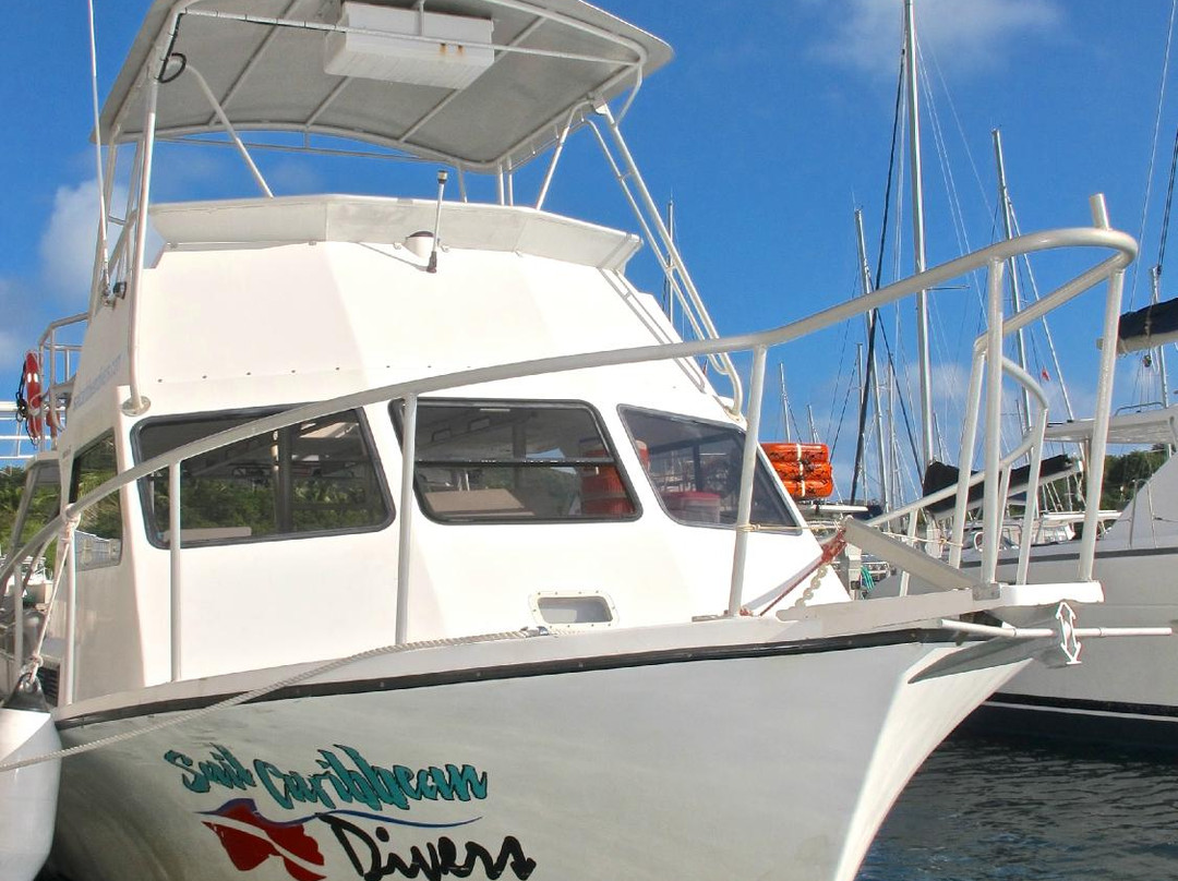 Sail Caribbean Divers-Road Town必去景点