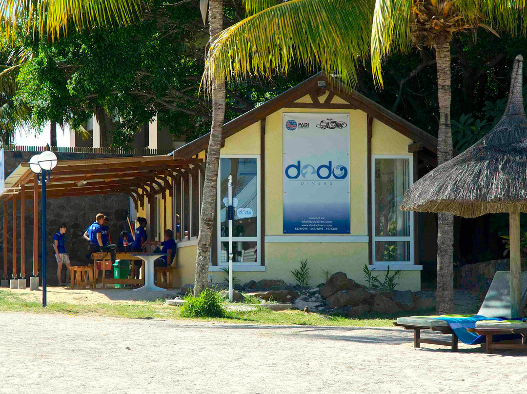 Dodo Divers Mauritius-卡罗迪勒必去景点