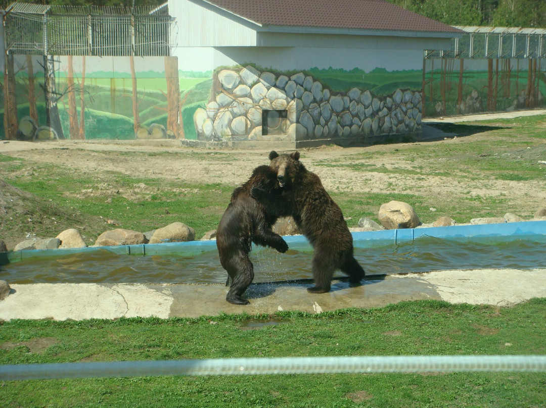 Yaroslavl Zoo景点图片