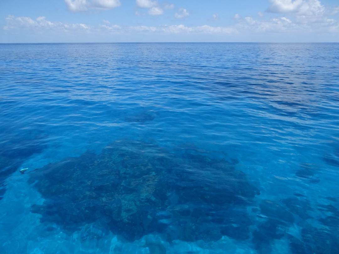 Great Adventures-凯恩斯必去景点