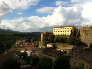Fortezza Orsini景点图片