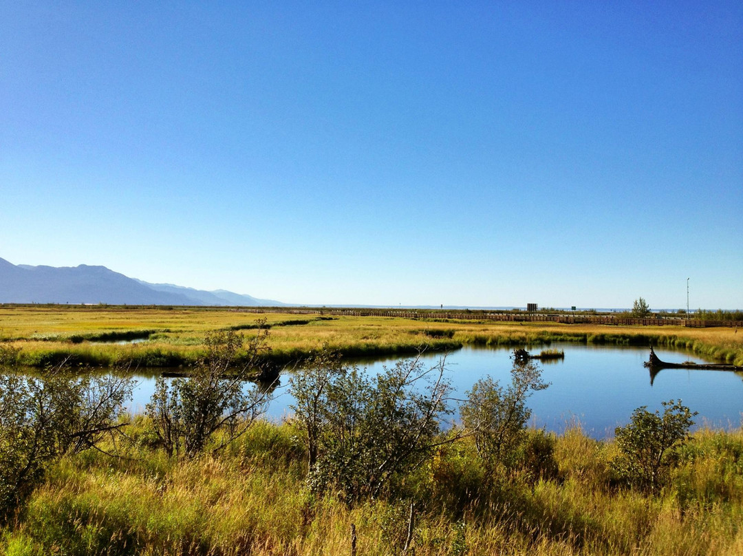 Potter Marsh Bird Sanctuary-安克雷奇必去景点