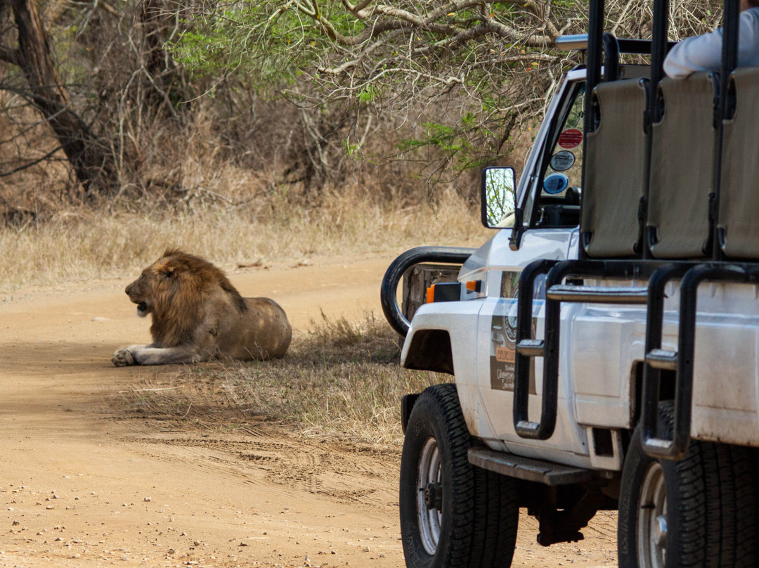 Heritage Tours & Safaris-圣露西亚必去景点
