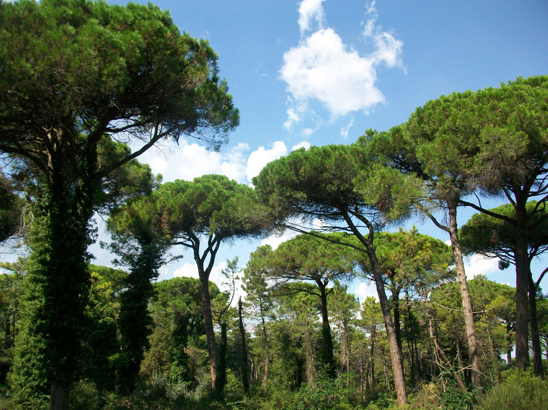 Parco Naturale di Cervia景点图片