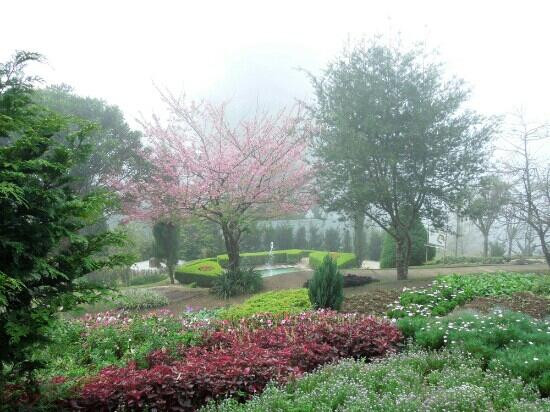 Jardim dos Pinhais Ecco Parque-圣安东尼奥杜皮尼亚尔必去景点