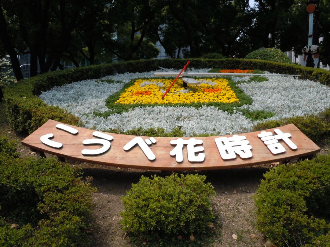 神户市政厅（观景台）-神户市必去景点