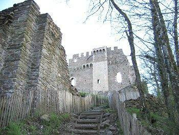 Chateau de Chalucet景点图片