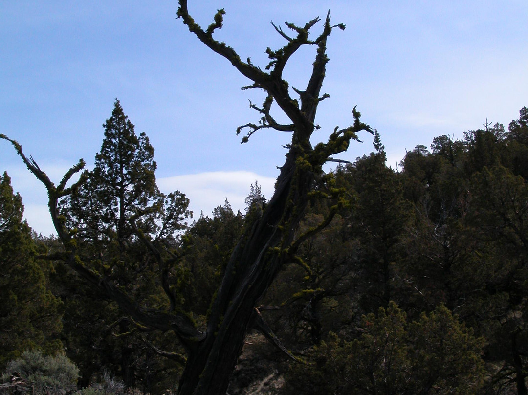 Silver Lake Forest Loop-Silver Lake必去景点