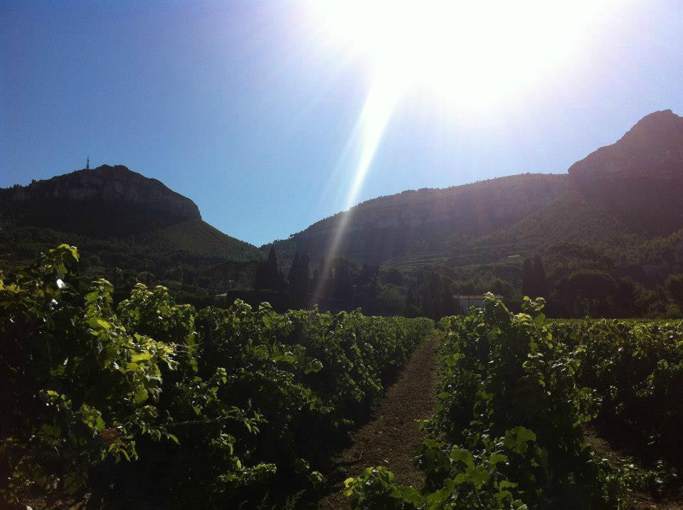 Clos Sainte Magdeleine-卡西斯必去景点