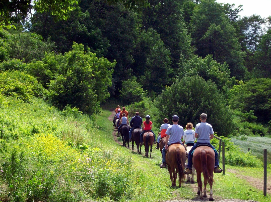 R&R Dude Ranch-Otto必去景点