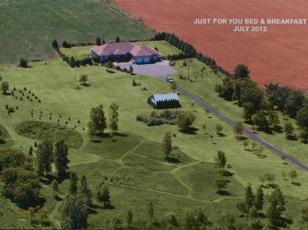 全心为你住宿加早餐旅馆主图