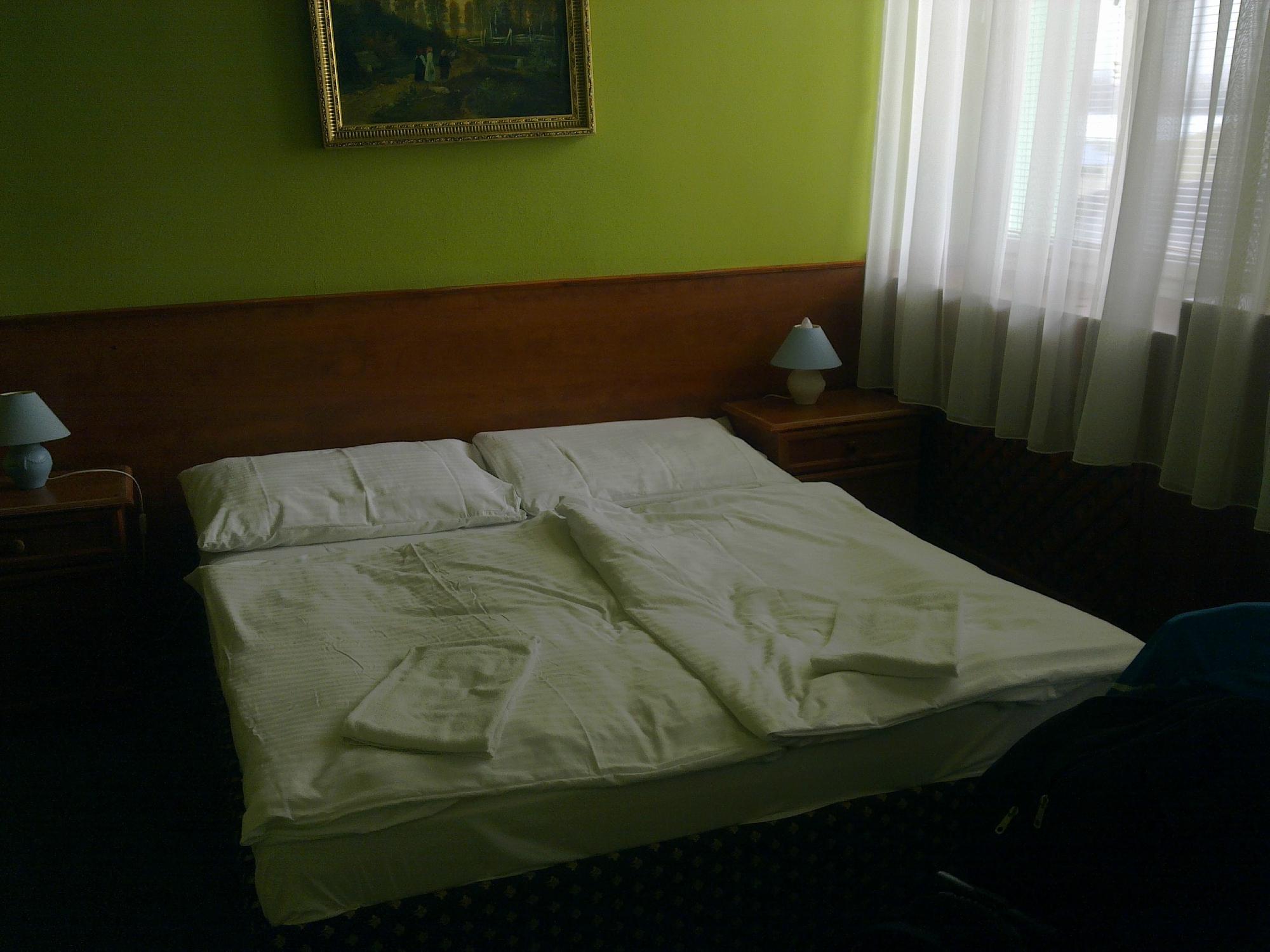Hotel Hubert Nove Zamky-客卧