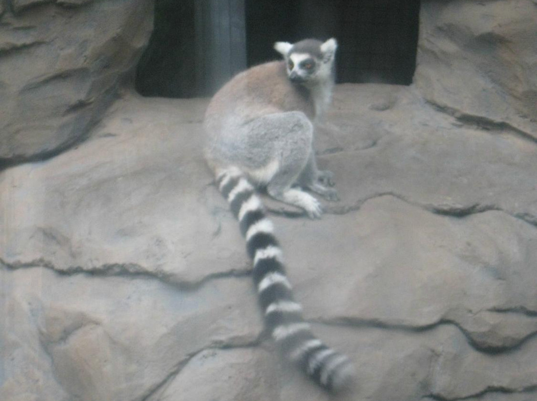 Zoológico De Barranquilla-Barranquilla必去景点