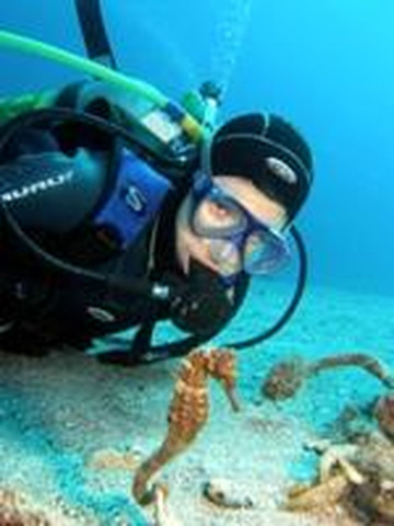 Israel Dive - diving in Eilat, Israel-埃拉特必去景点