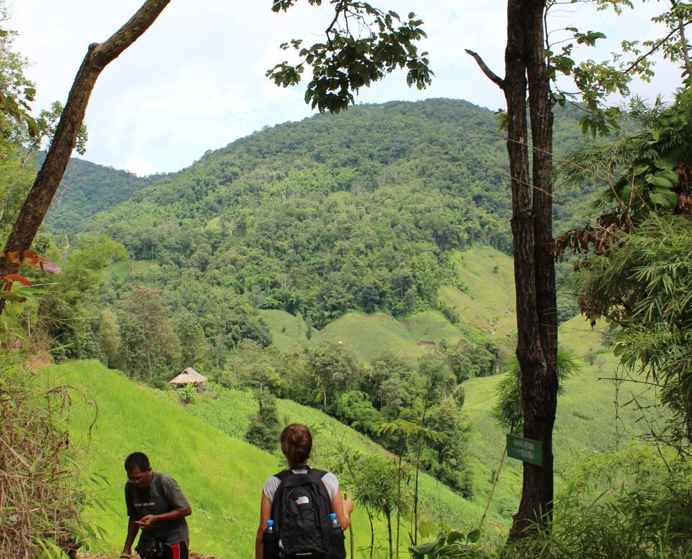 Trekking Collective Co - Private Day Tours-清迈必去景点